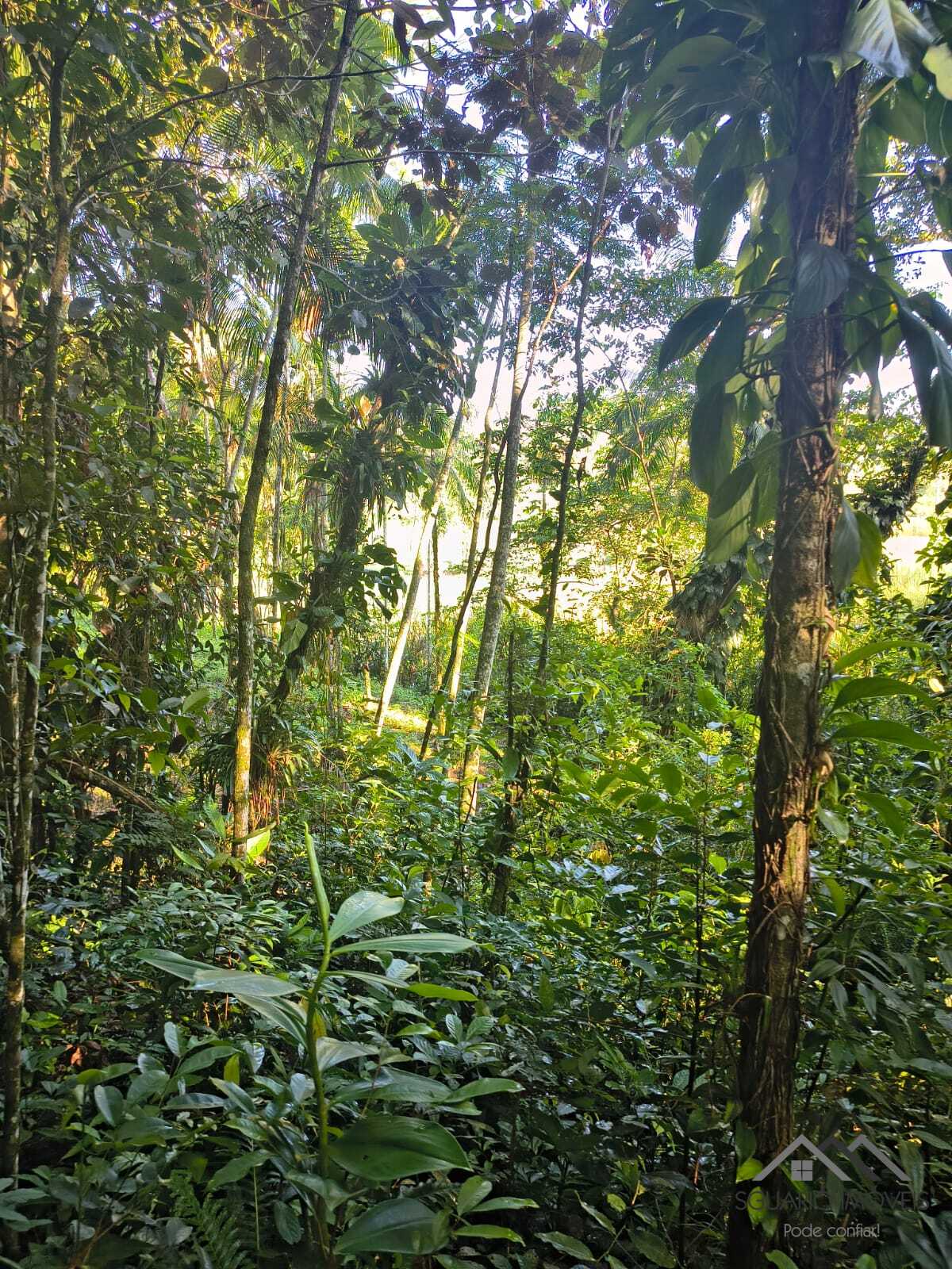 Rural à Venda, 84.700,00 m² - Foto 51