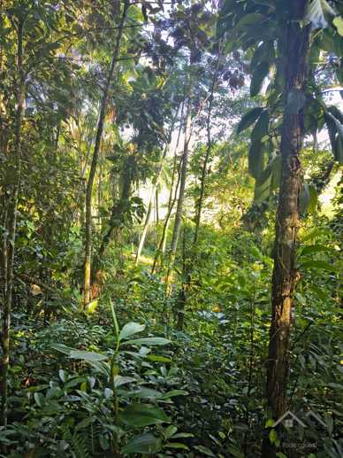 Rural à Venda, 84.700,00 m² - Foto 51