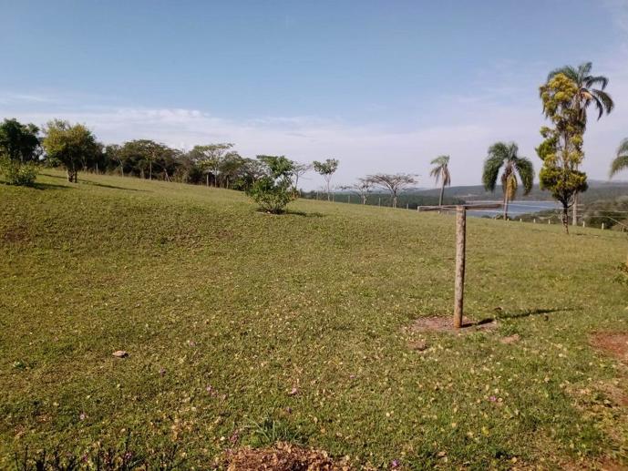 Rural à Venda - Foto 8
