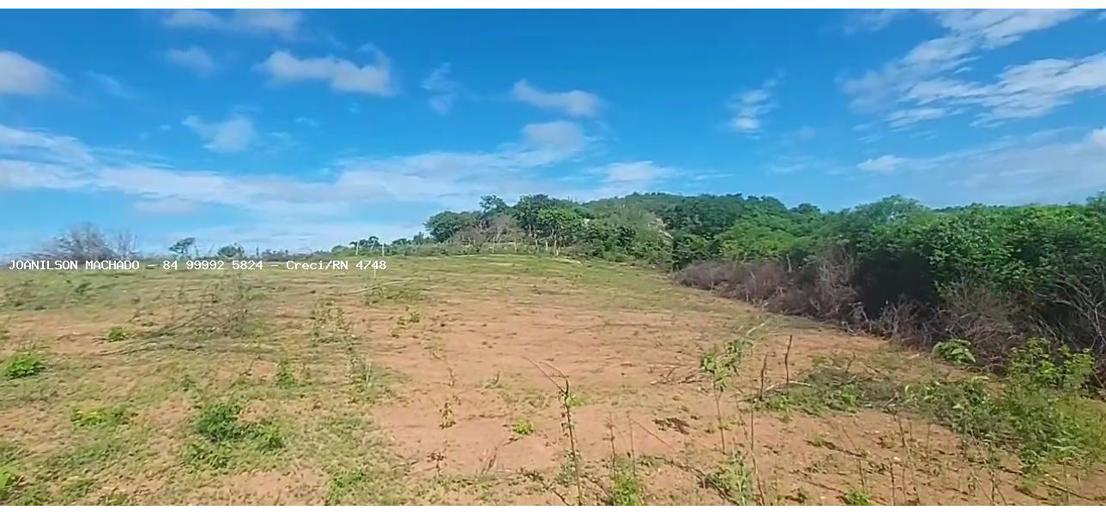 Terreno à Venda - Foto 7