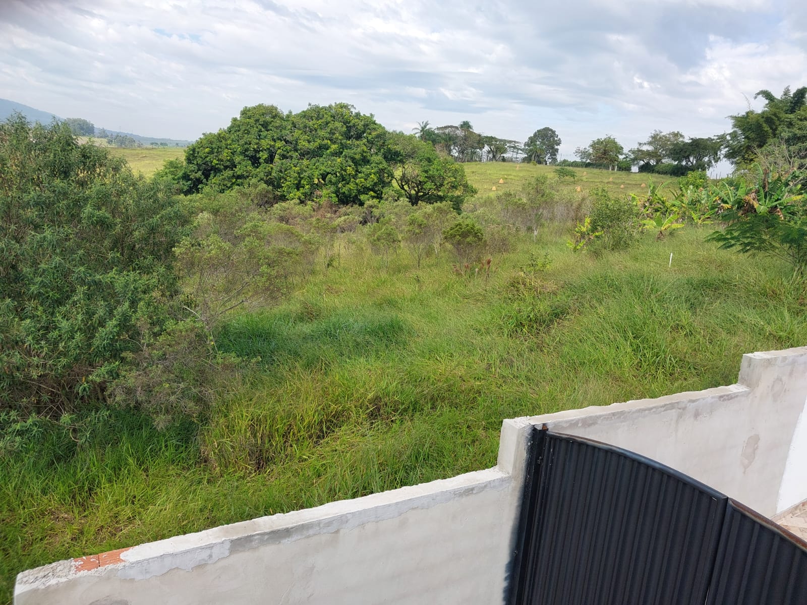 Terreno à Venda, 1.000,00 m² - Foto 2