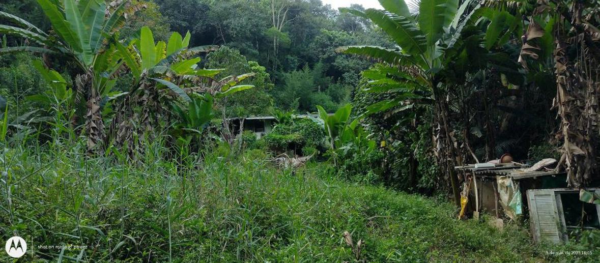 Terreno à Venda, 20.000,00 m² - Foto 10
