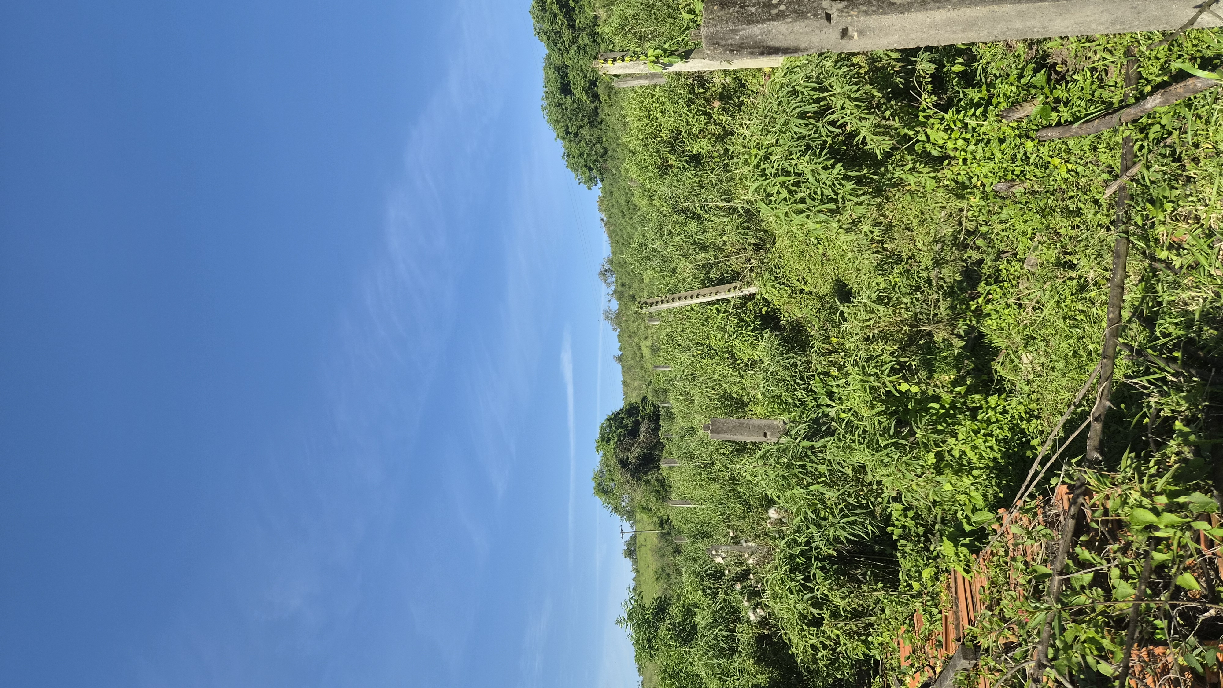 Rural à Venda, 145.585,00 m² - Foto 6