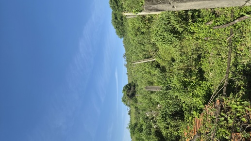 Rural à Venda, 145.585,00 m² - Foto 6