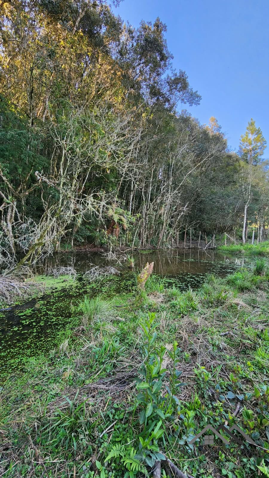 Rural à Venda, 24.200,00 m² - Foto 9