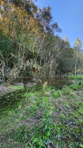 Rural à Venda, 24.200,00 m² - Foto 9