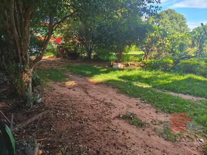 Rural com 4 Quartos à Venda, 1.250,00 m² - Foto 47