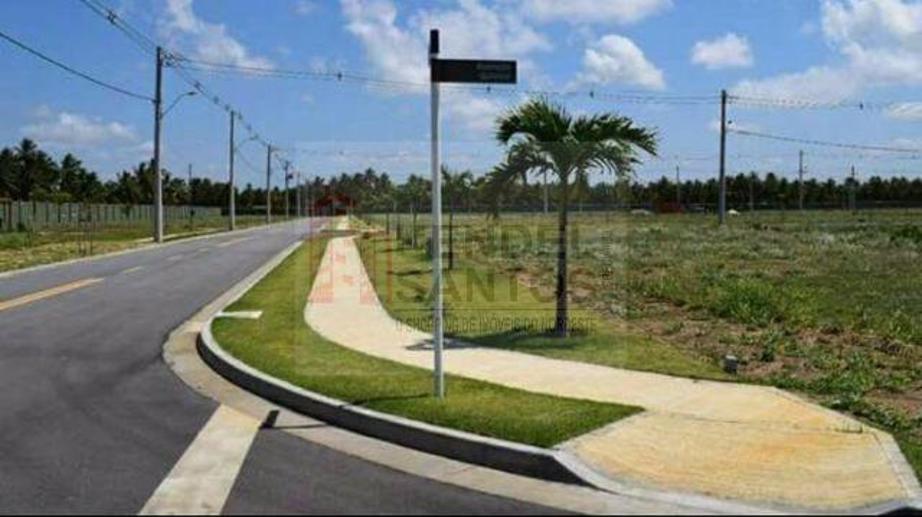 Terreno à Venda, 300,00 m² - Foto 19