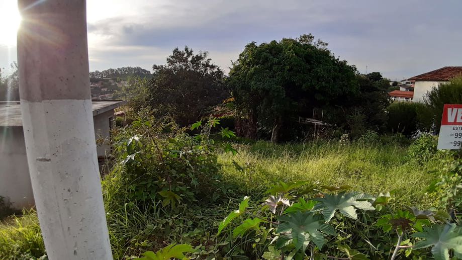 Terreno à Venda, 300,00 m² - Foto 10