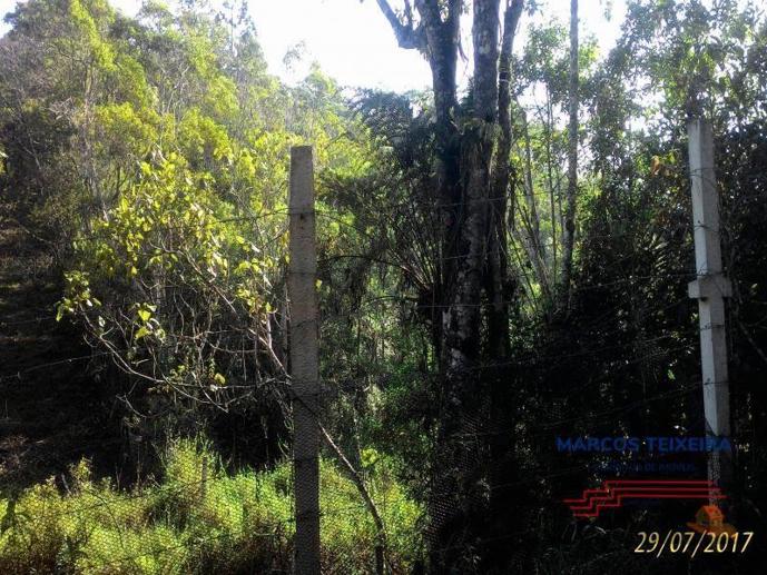 Terreno à Venda - Foto 7