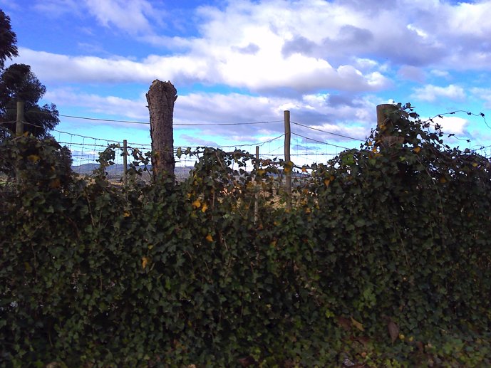 Rural com 3 Quartos à Venda, 24.946,87 m² - Foto 54