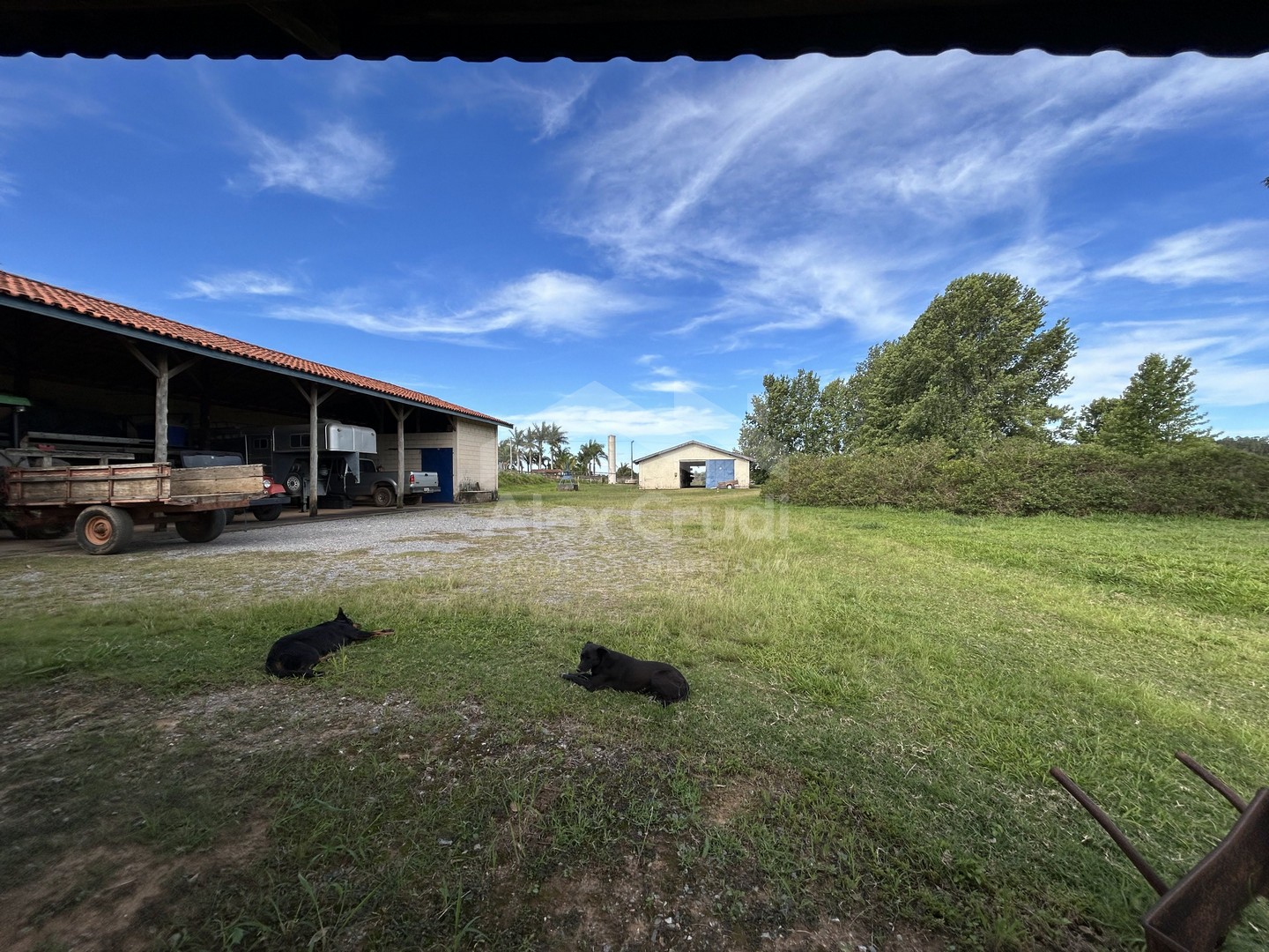 Rural com 8 Quartos à Venda, 242.000,00 m² - Foto 20