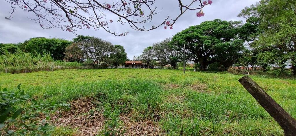 Terreno à Venda, 5.064,62 m² - Foto 7