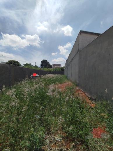 Terreno à Venda, 125,00 m² - Foto 6