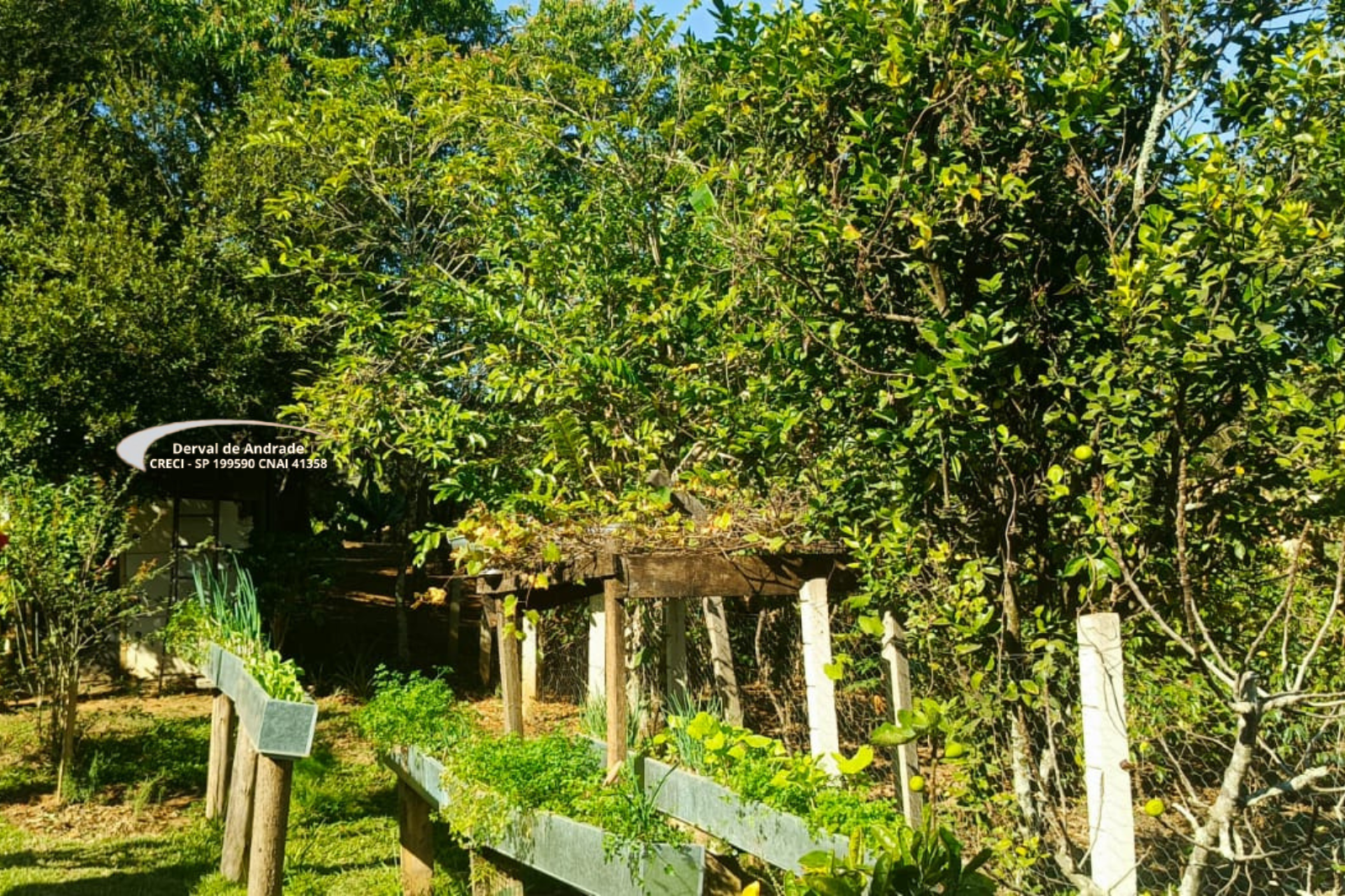 Rural com 2 Quartos à Venda, 1.411,00 m² - Foto 11