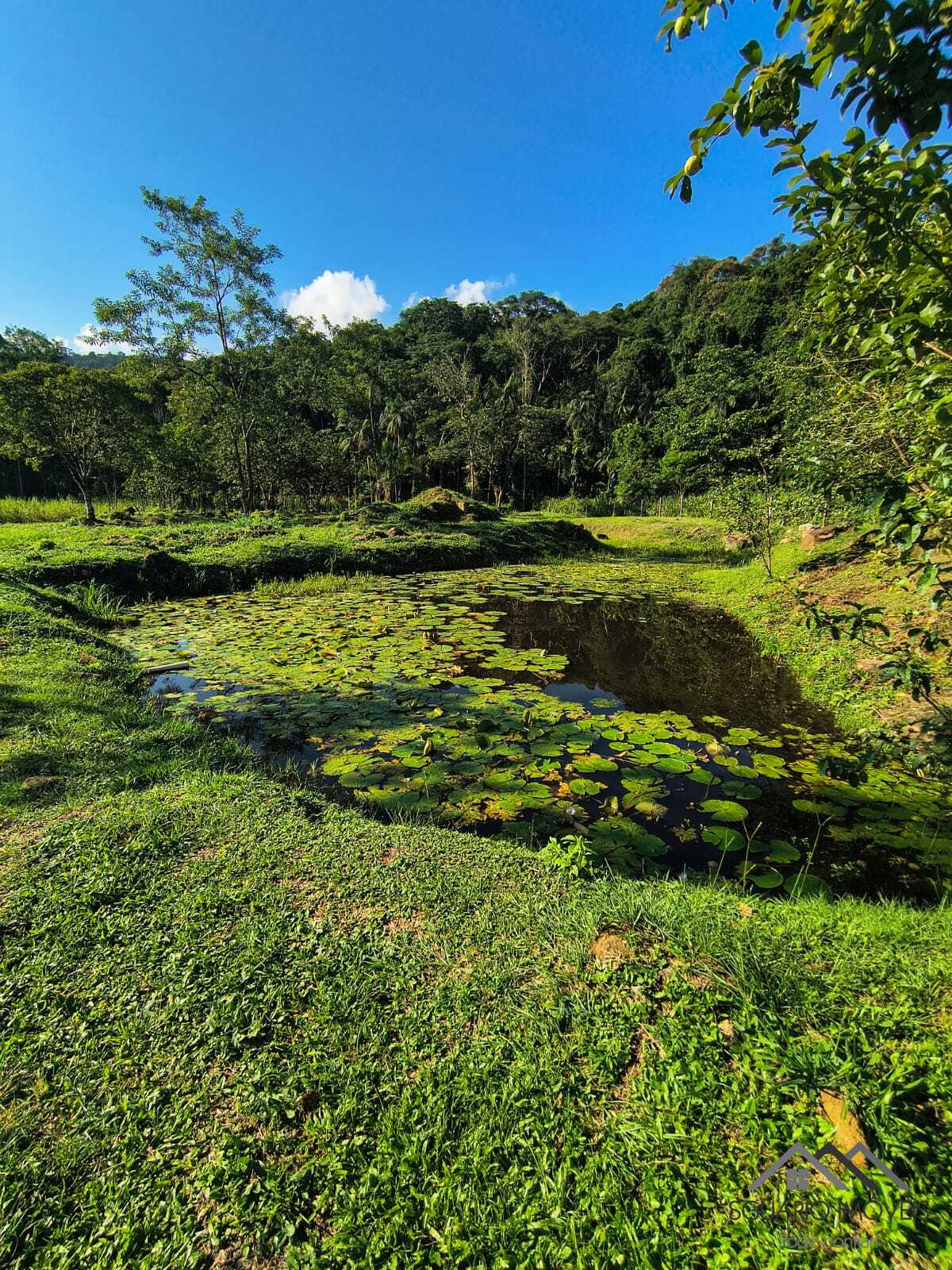 Rural à Venda, 84.700,00 m² - Foto 71