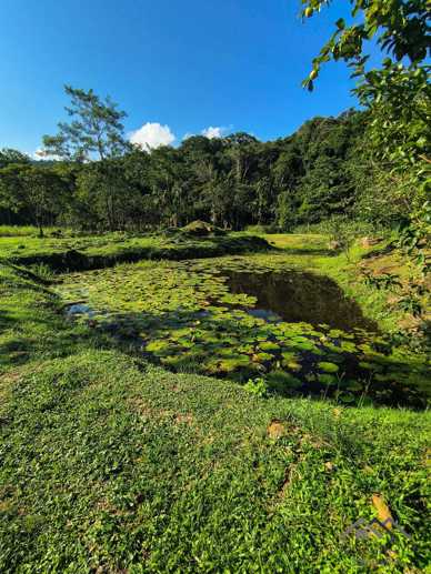 Rural à Venda, 84.700,00 m² - Foto 71