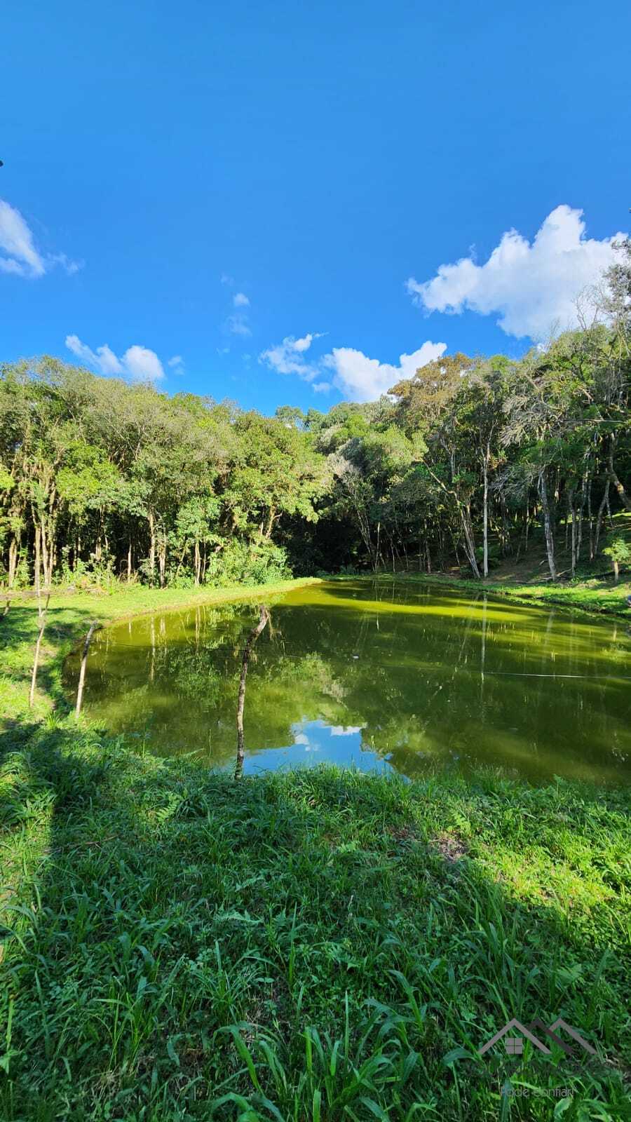Rural à Venda, 10.859,00 m² - Foto 17