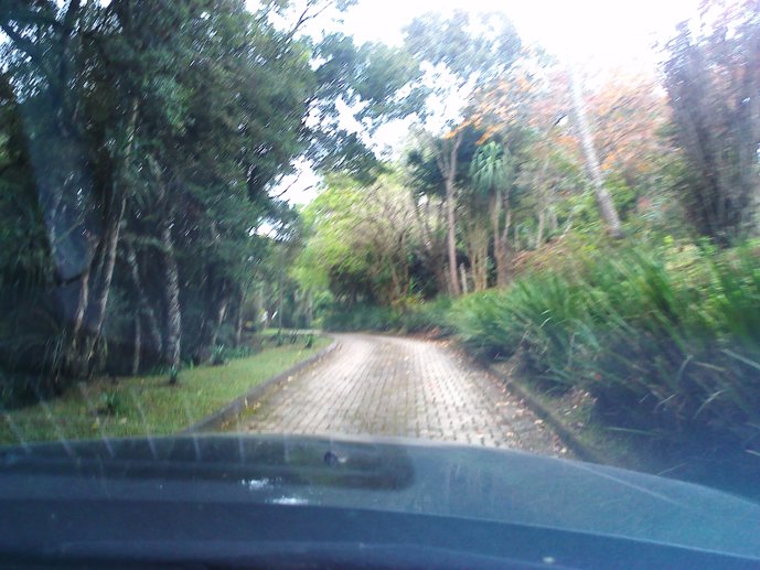 Rural com 3 Quartos à Venda, 1.237,22 m² - Foto 49