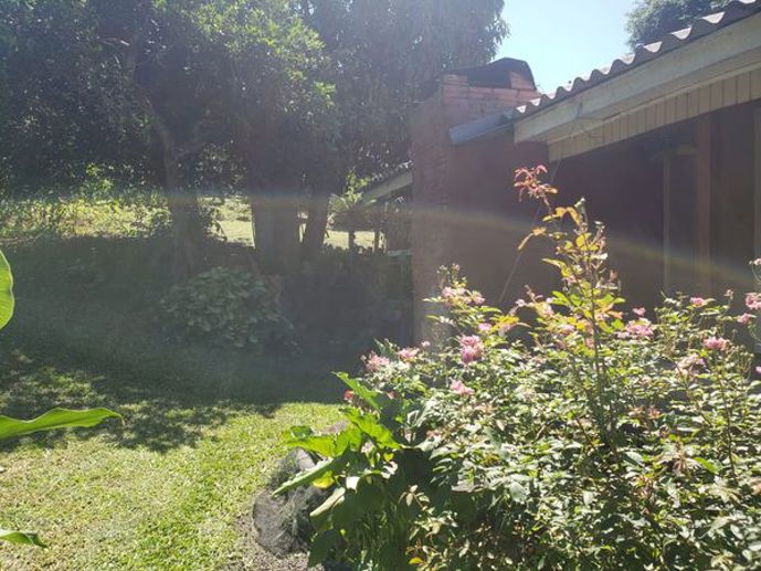 Casa com 3 Quartos à Venda, 60,00 m² - Foto 2