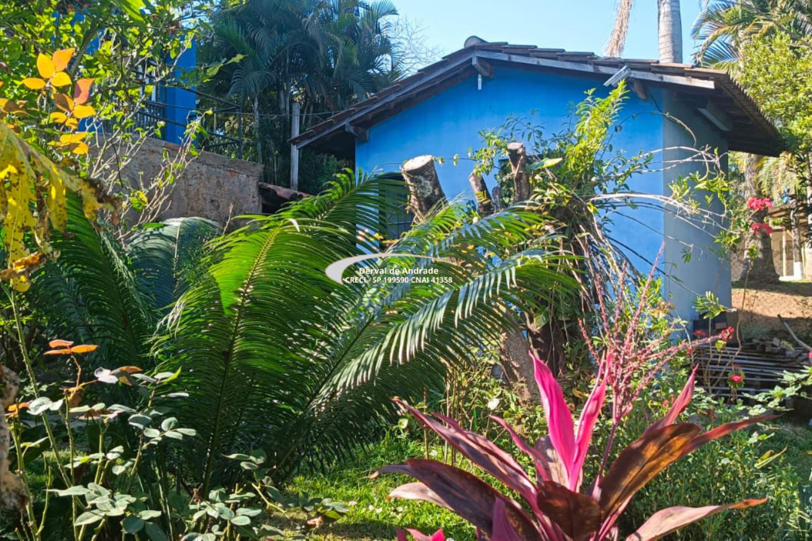 Rural com 2 Quartos à Venda, 1.411,00 m² - Foto 4