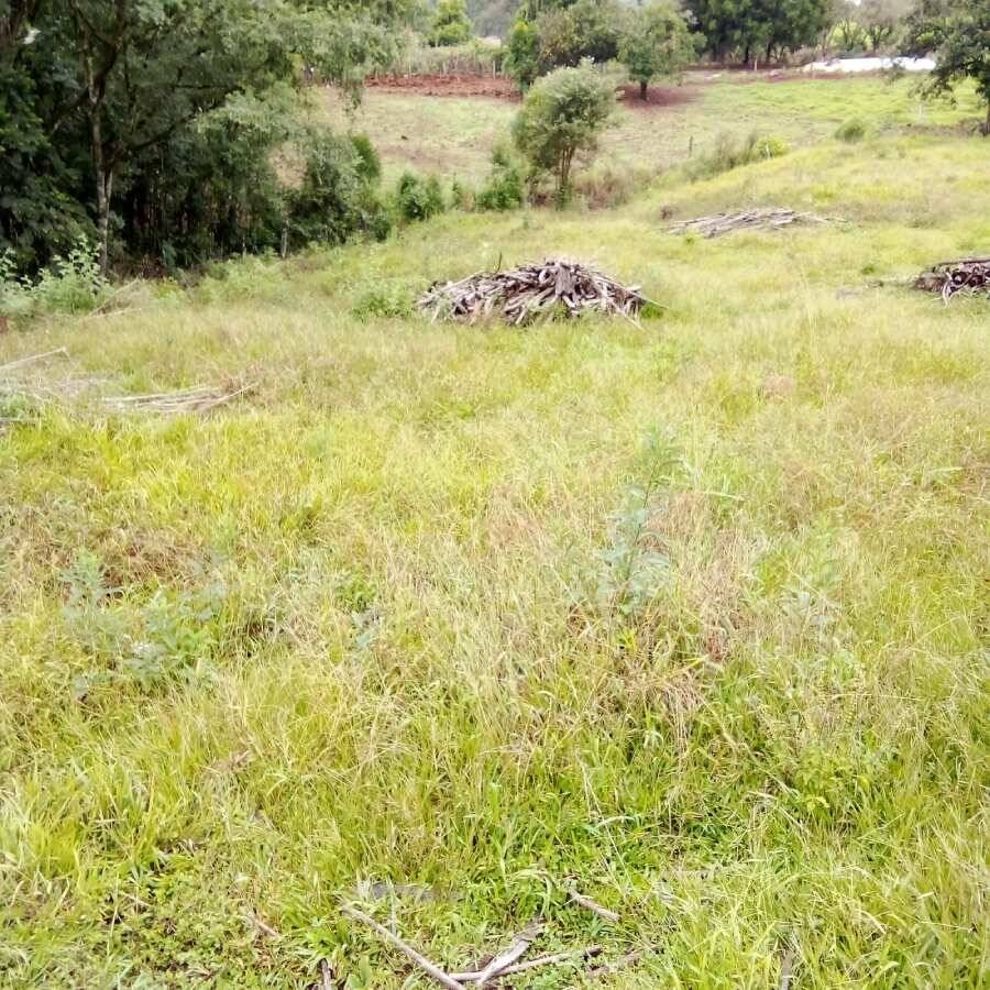 Rural à Venda, 2.375,00 m² - Foto 3