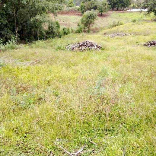 Rural à Venda, 2.375,00 m² - Foto 3