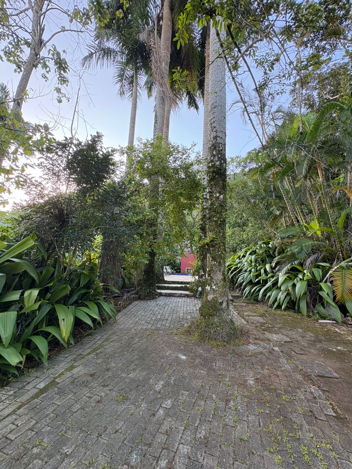 Casa com 3 Quartos para Temporada, 2.900,00 m² - Foto 36