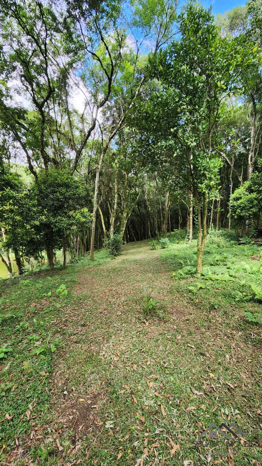 Rural à Venda, 10.859,00 m² - Foto 15