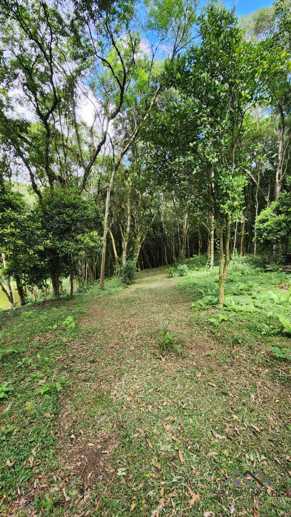 Rural à Venda, 10.859,00 m² - Foto 15
