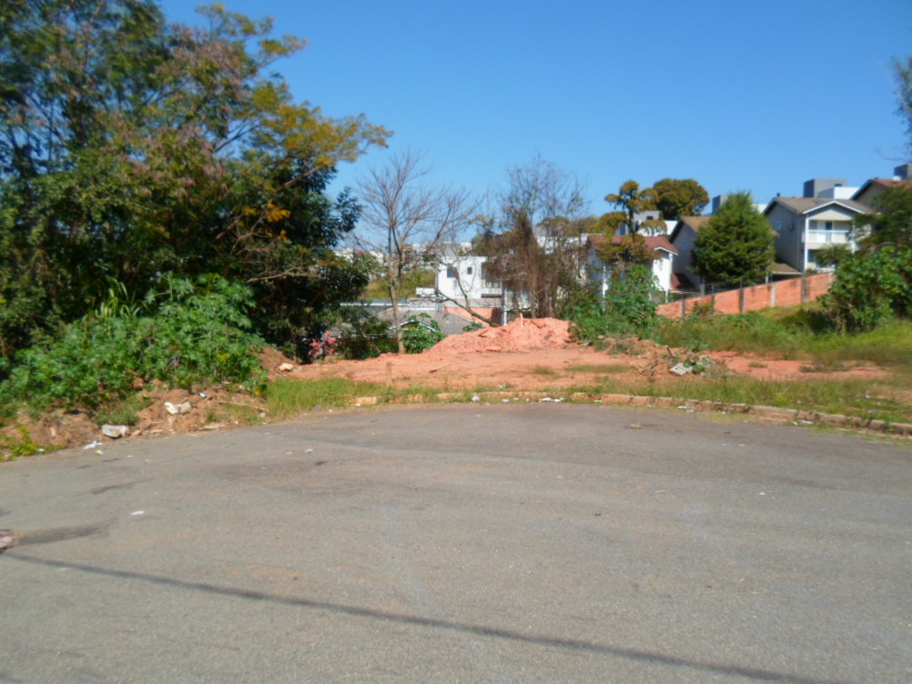 Terreno à Venda - Foto 3