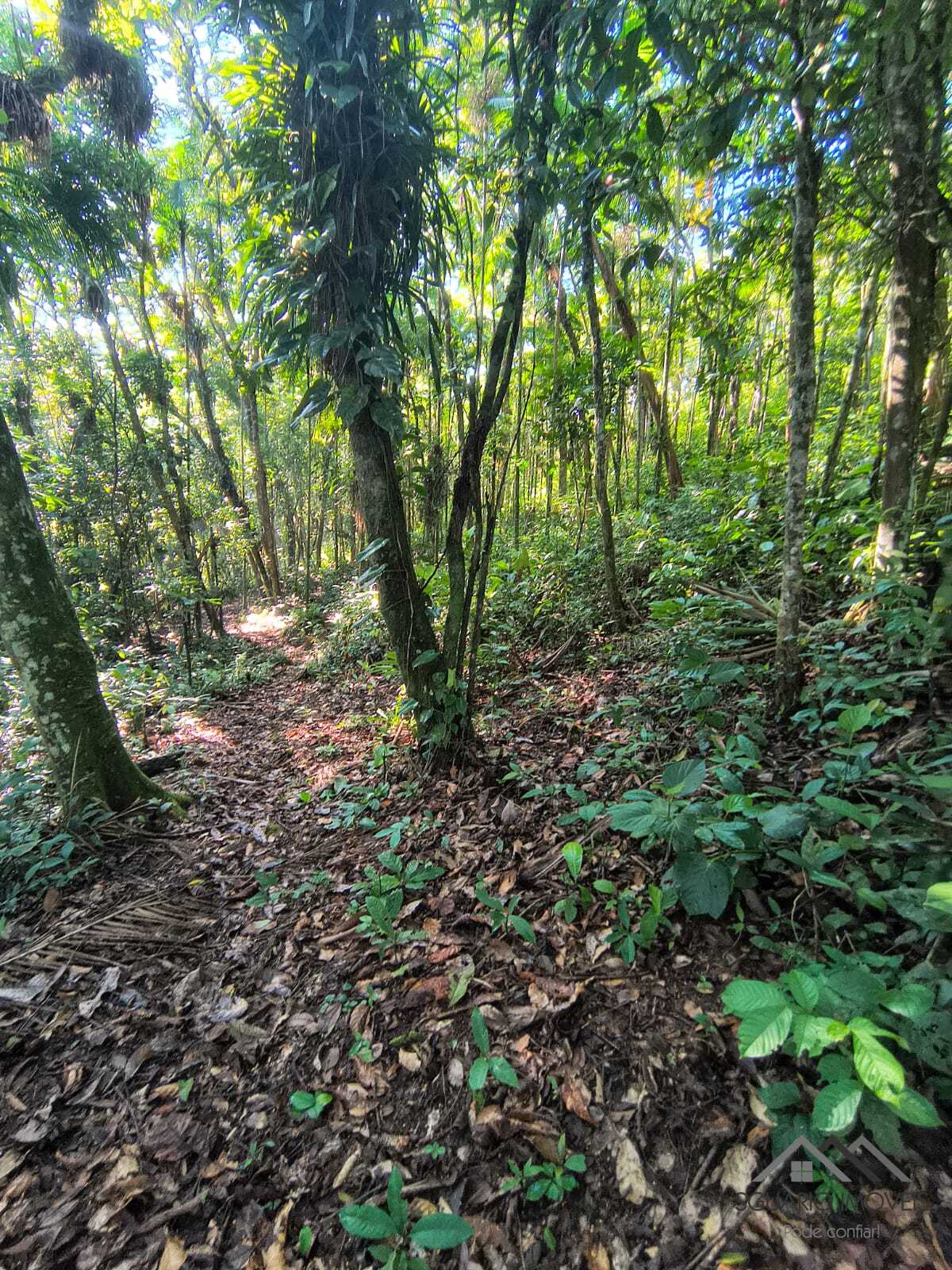 Rural à Venda, 84.700,00 m² - Foto 48