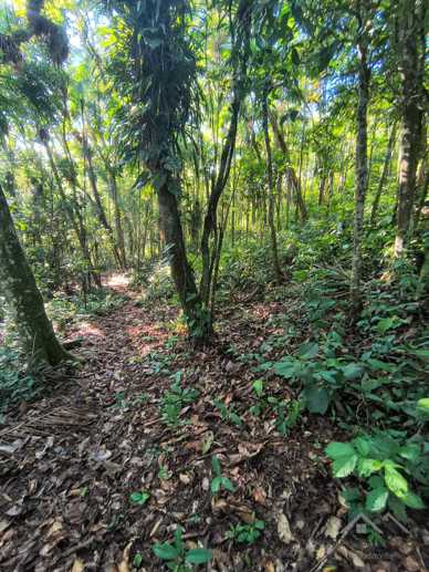 Rural à Venda, 84.700,00 m² - Foto 48