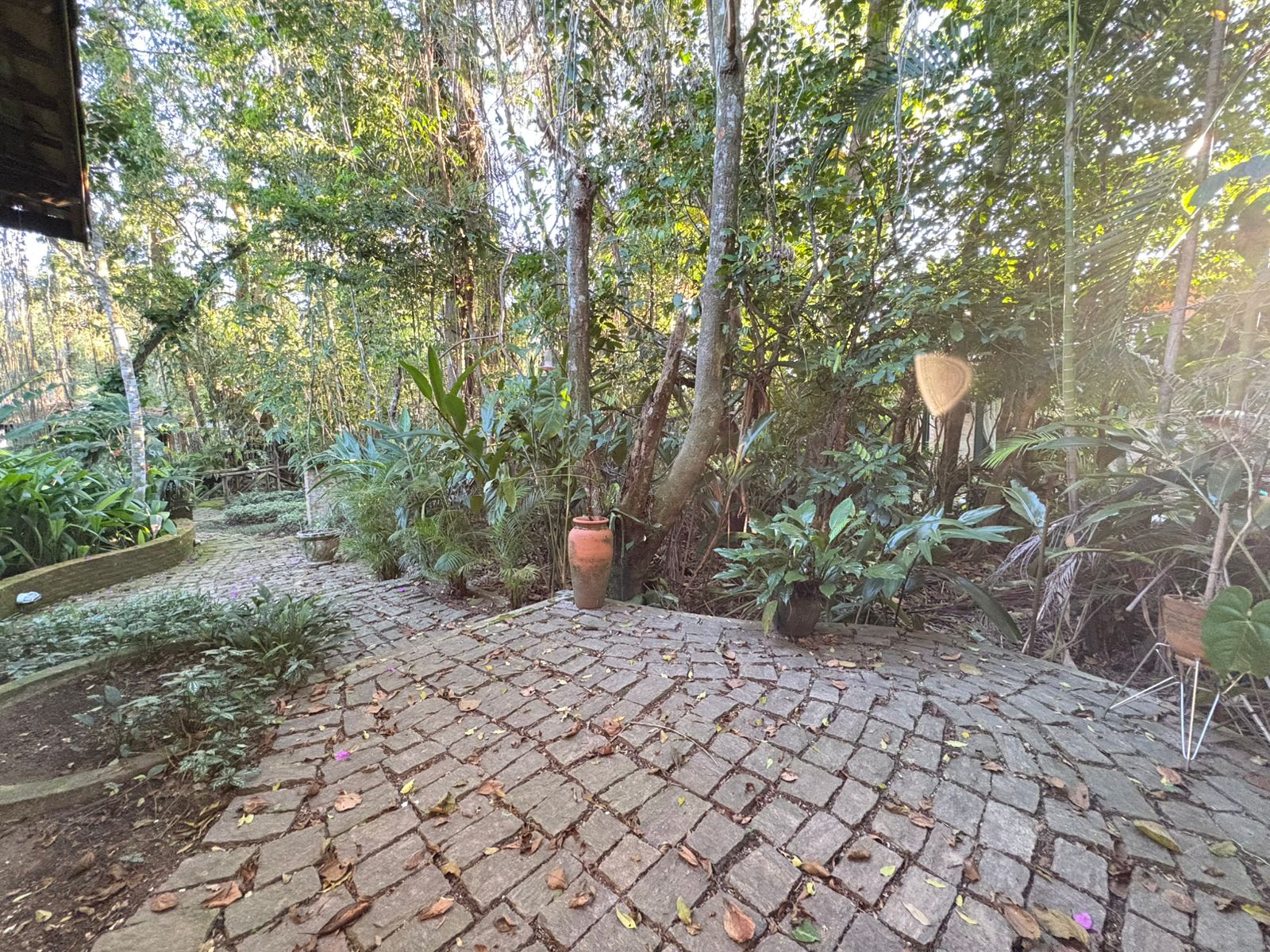 Casa com 3 Quartos para Temporada, 2.900,00 m² - Foto 19