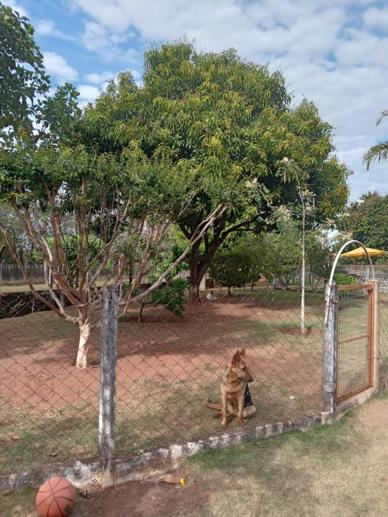 Casa com 3 Quartos à Venda, 320,00 m² - Foto 12