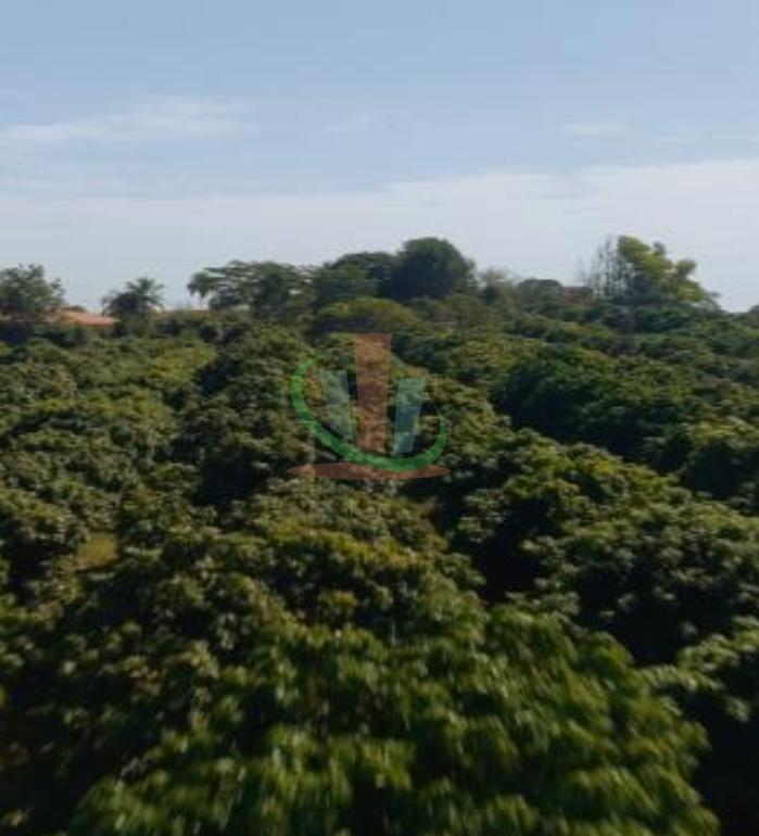 Rural com 4 Quartos à Venda, 241.000,00 m² - Foto 4