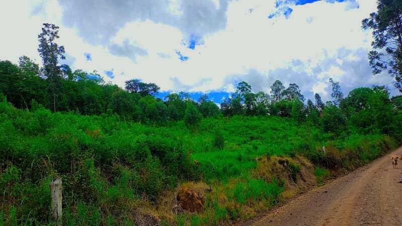 Rural à Venda, 2,00 m² - Foto 1