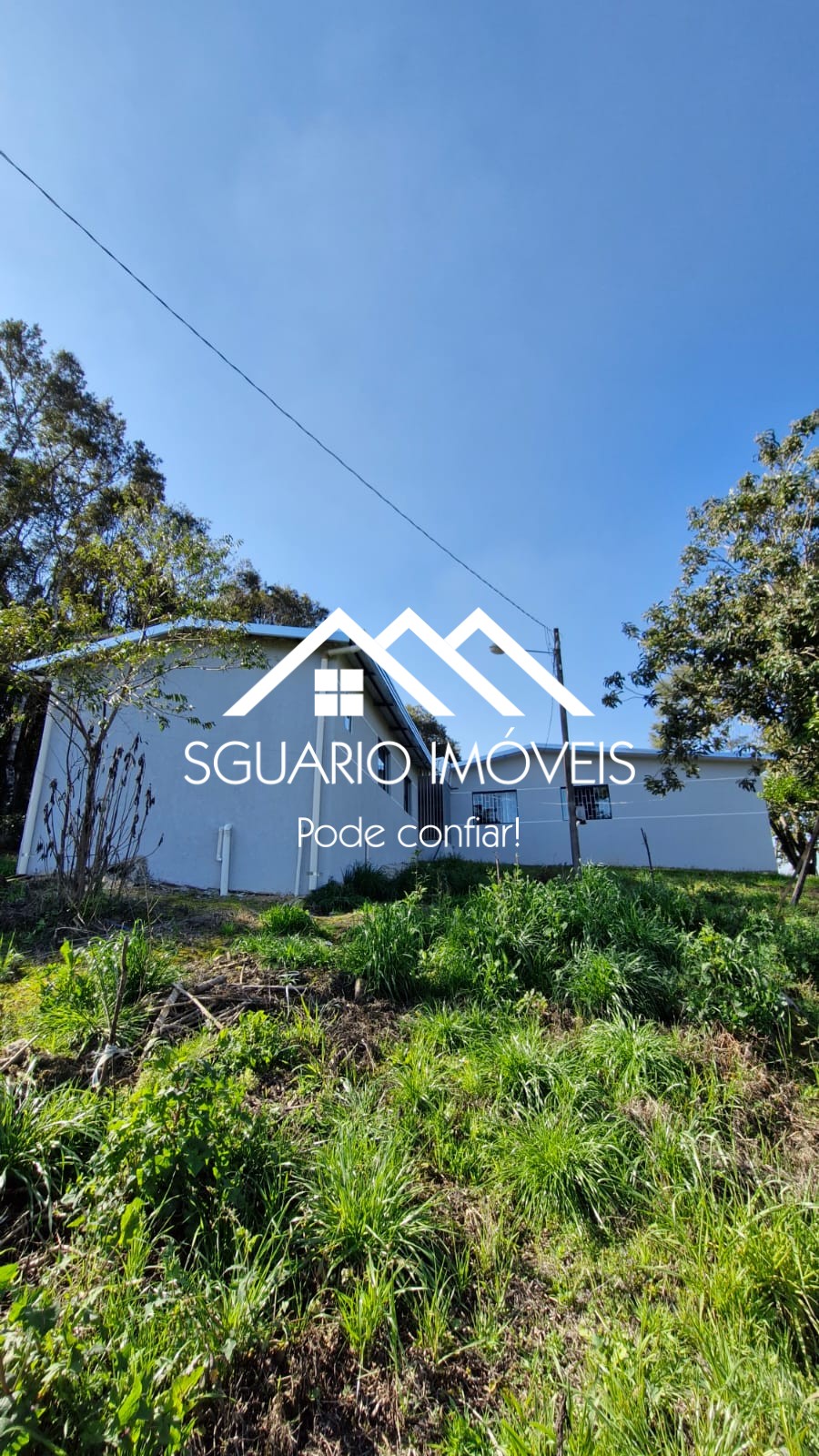Rural com 3 Quartos à Venda, 20.800,00 m² - Foto 4