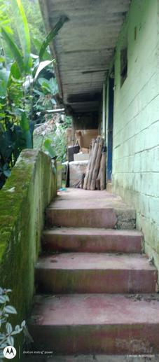 Terreno à Venda, 20.000,00 m² - Foto 5