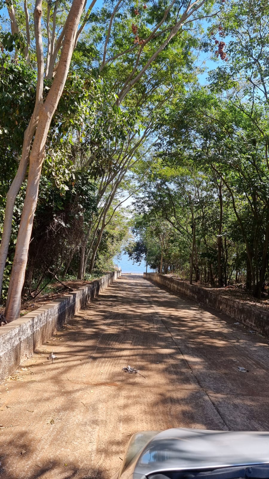 Terreno à Venda, 396,90 m² - Foto 2