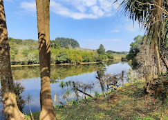 Rural com 3 Quartos à Venda, 1.237,22 m² - Foto 8