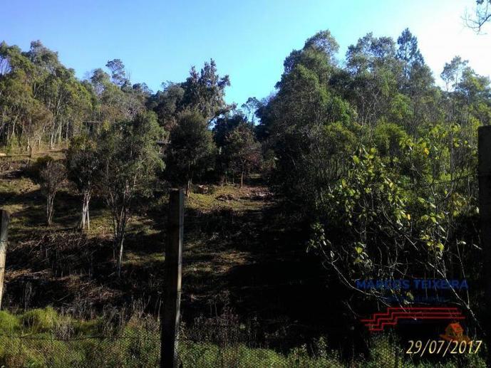 Terreno à Venda - Foto 6