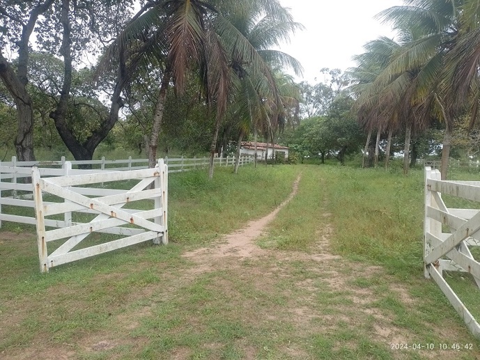 Rural com 4 Quartos à Venda - Foto 8