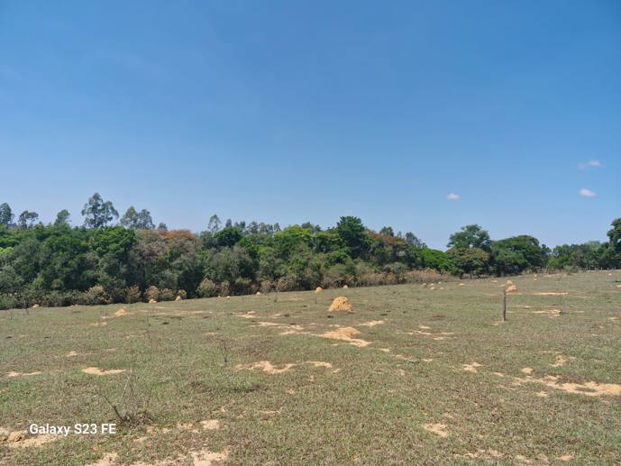 Terreno à Venda, 56.645,32 m² - Foto 2