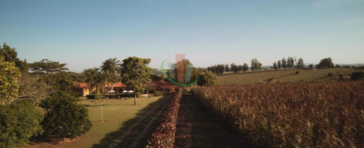 Rural com 4 Quartos à Venda, 241.000,00 m² - Foto 26