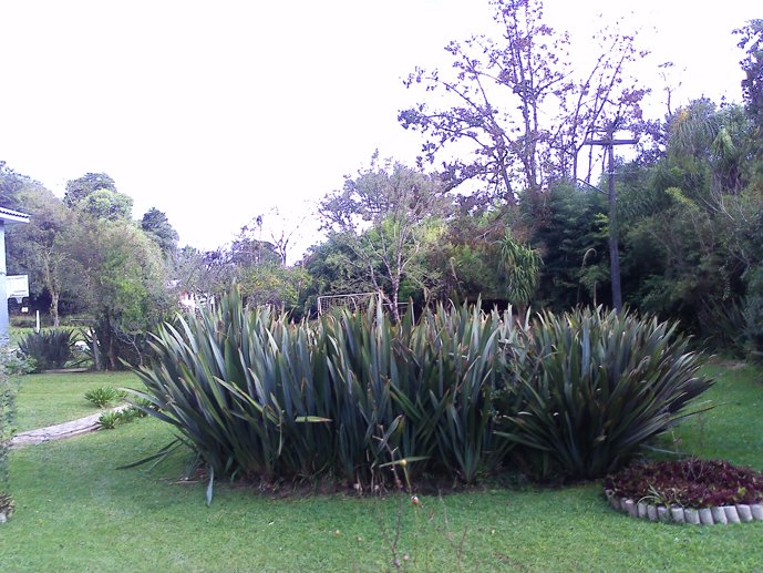 Rural com 3 Quartos à Venda, 1.237,22 m² - Foto 121