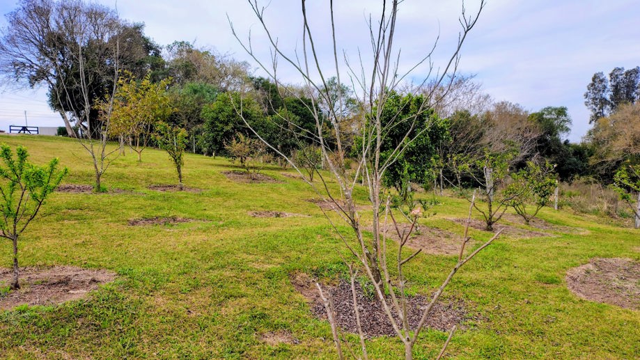 Rural com 2 Quartos à Venda, 20.000,00 m² - Foto 11