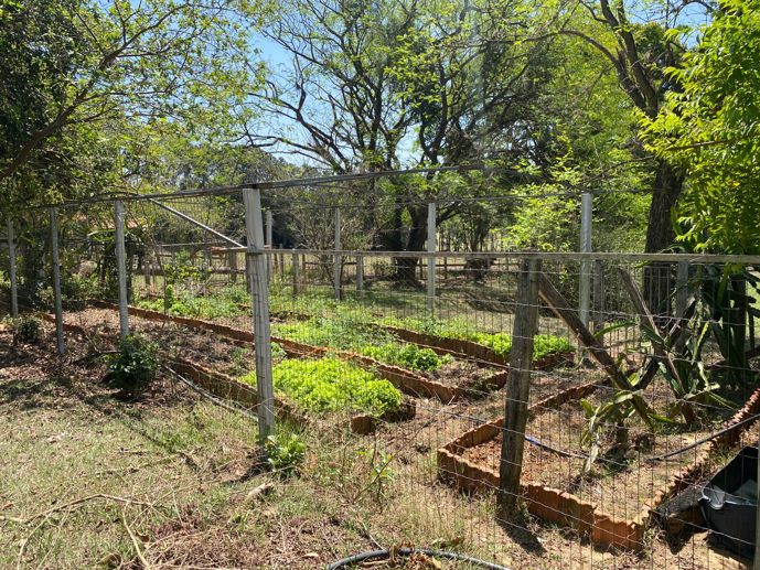 Rural com 4 Quartos à Venda, 31.156,52 m² - Foto 32