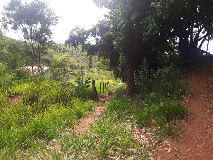 Rural com 3 Quartos à Venda, 314.600,00 m² - Foto 21