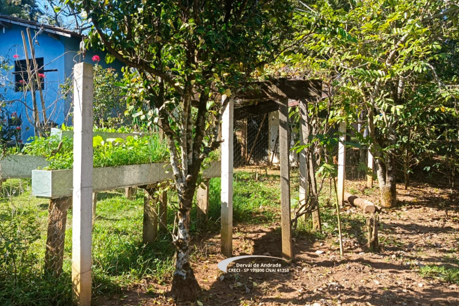Rural com 2 Quartos à Venda, 1.411,00 m² - Foto 15